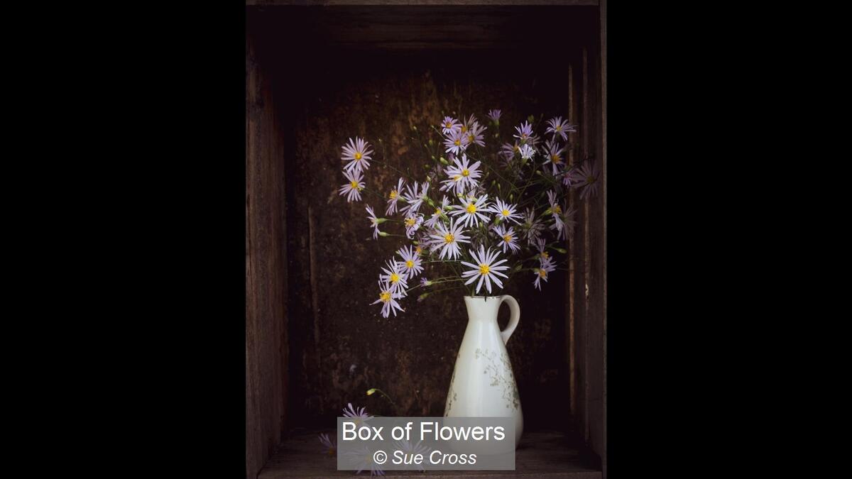 Box of Flowers